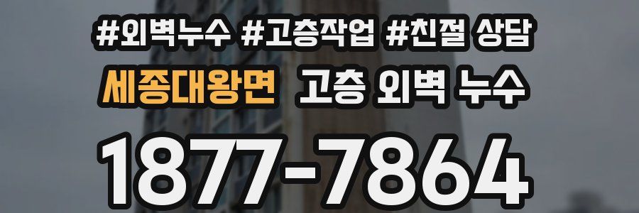 세종대왕면 고층 외벽 누수