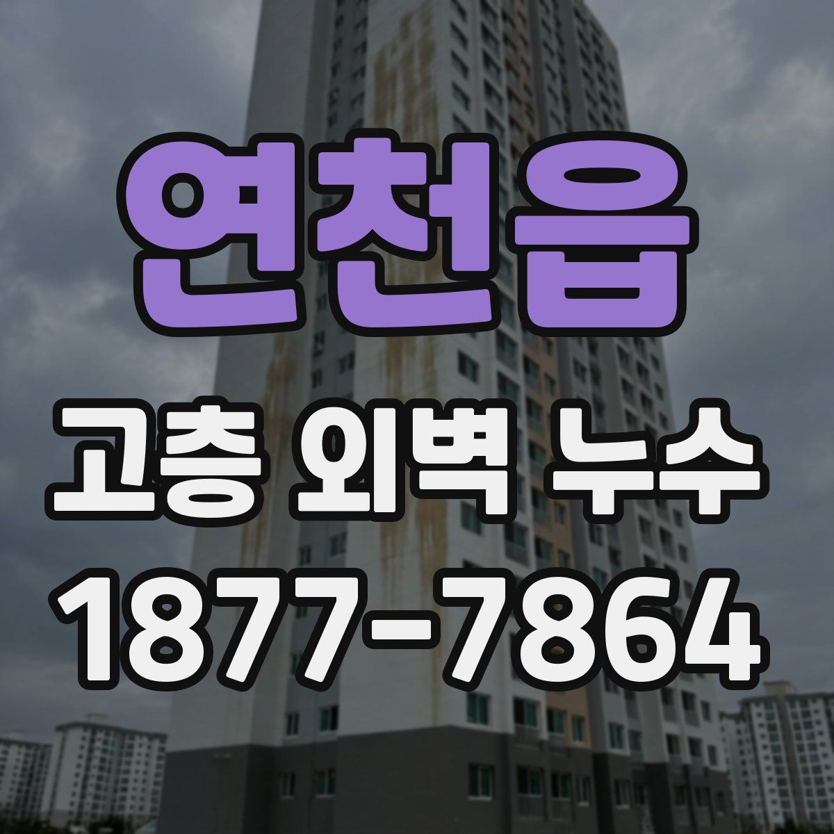연천읍 고층 외벽 누수