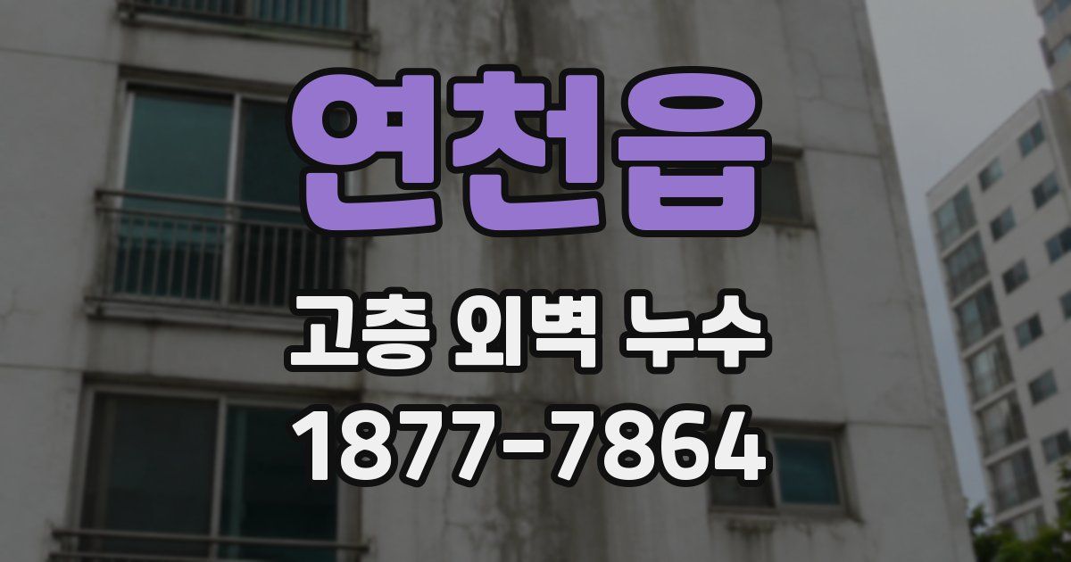 연천읍 고층 외벽 누수