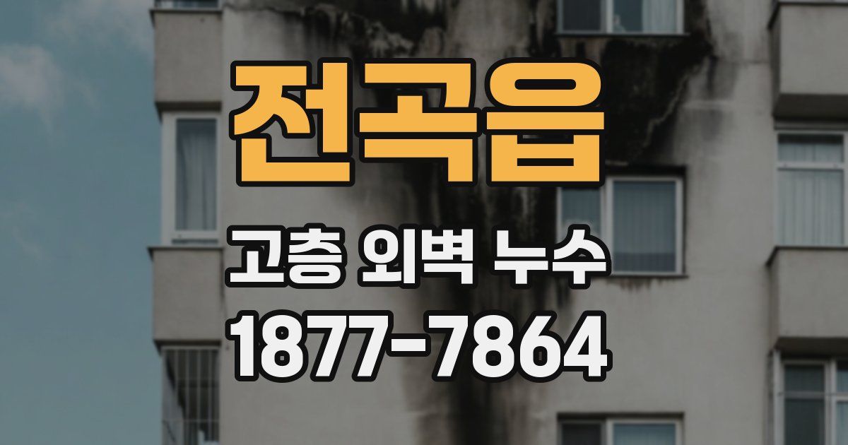 전곡읍 고층 외벽 누수