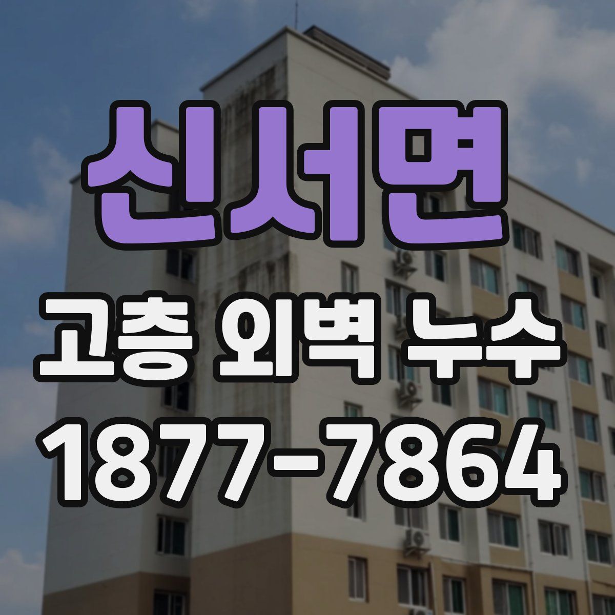신서면 고층 외벽 누수