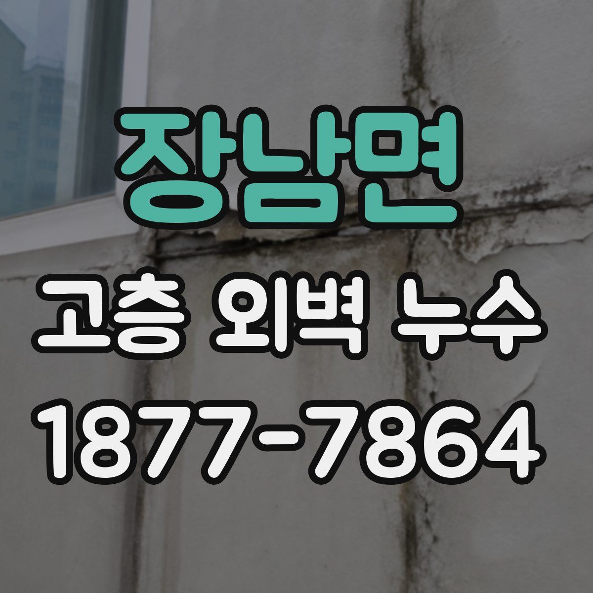 장남면 고층 외벽 누수