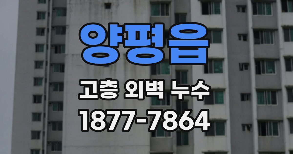 양평읍 고층 외벽 누수