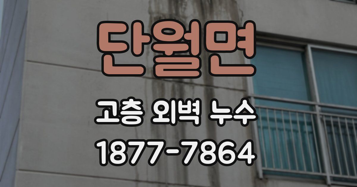 단월면 고층 외벽 누수