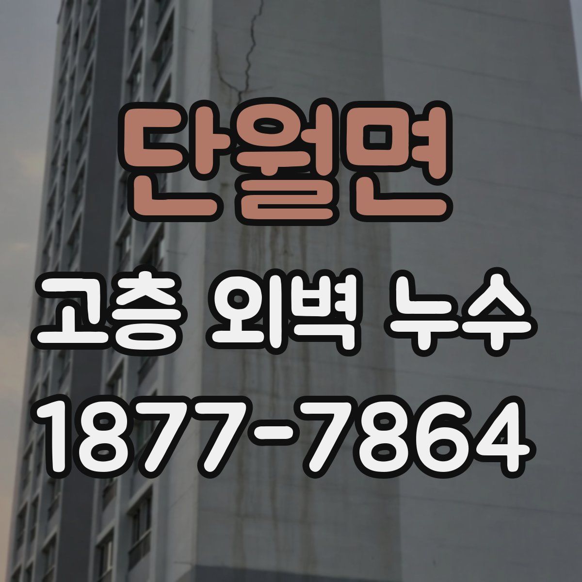 단월면 고층 외벽 누수