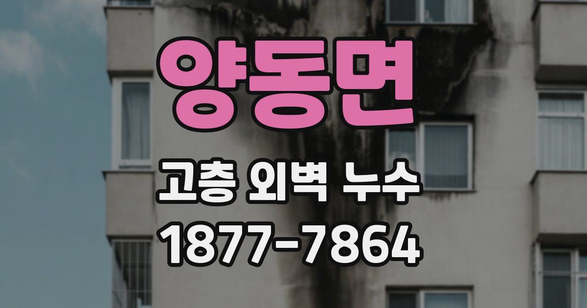양동면 고층 외벽 누수