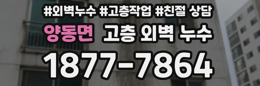 양동면 고층 외벽 누수