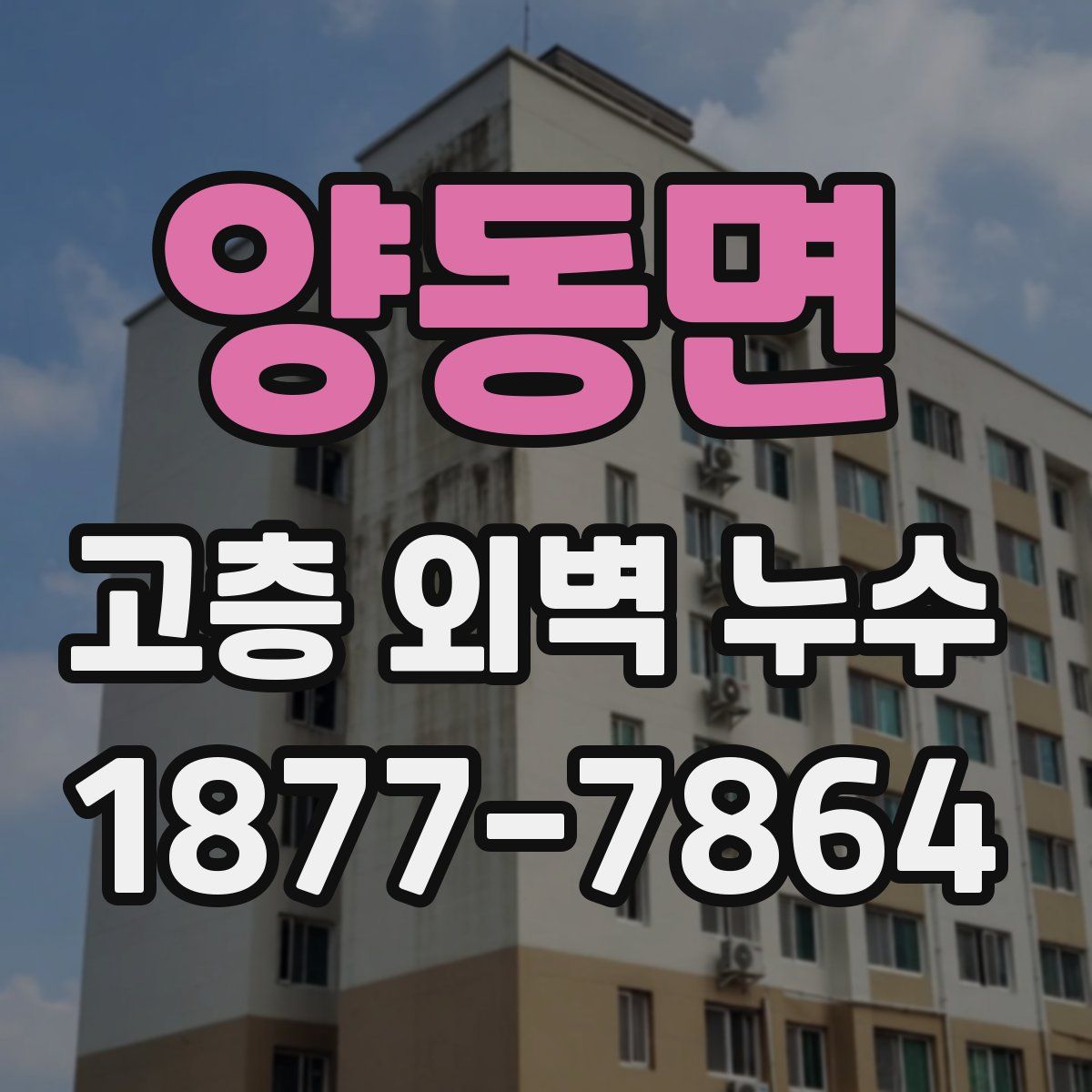 양동면 고층 외벽 누수