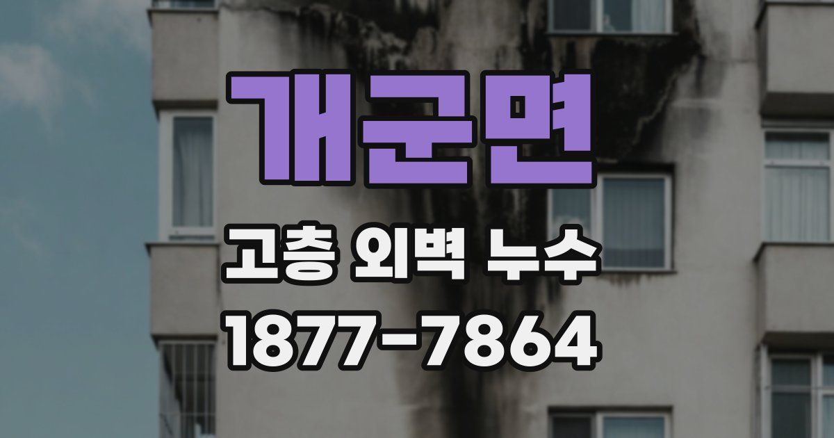개군면 고층 외벽 누수