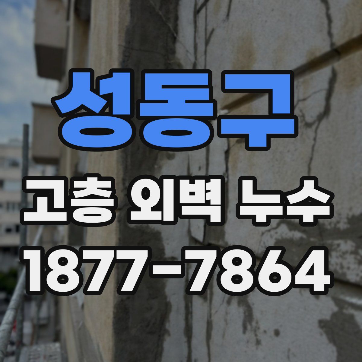 성동구 고층 외벽 누수