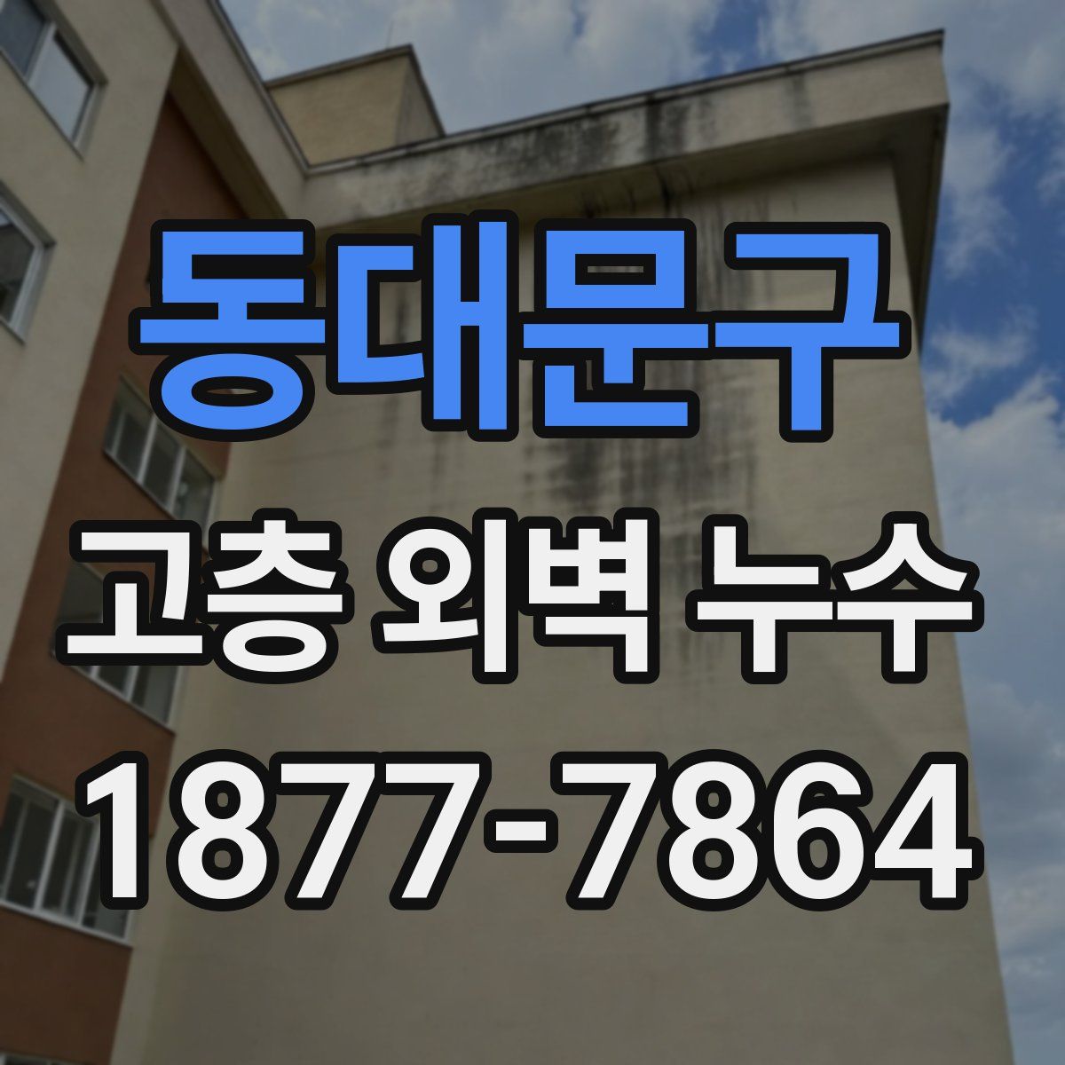 동대문구 고층 외벽 누수