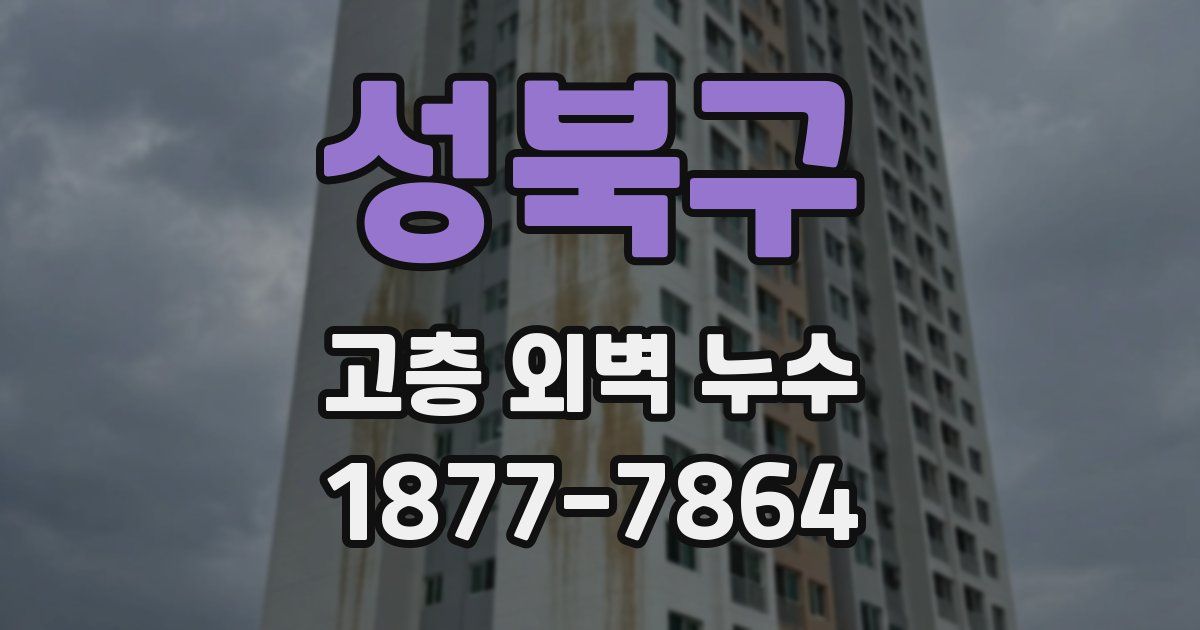 성북구 고층 외벽 누수