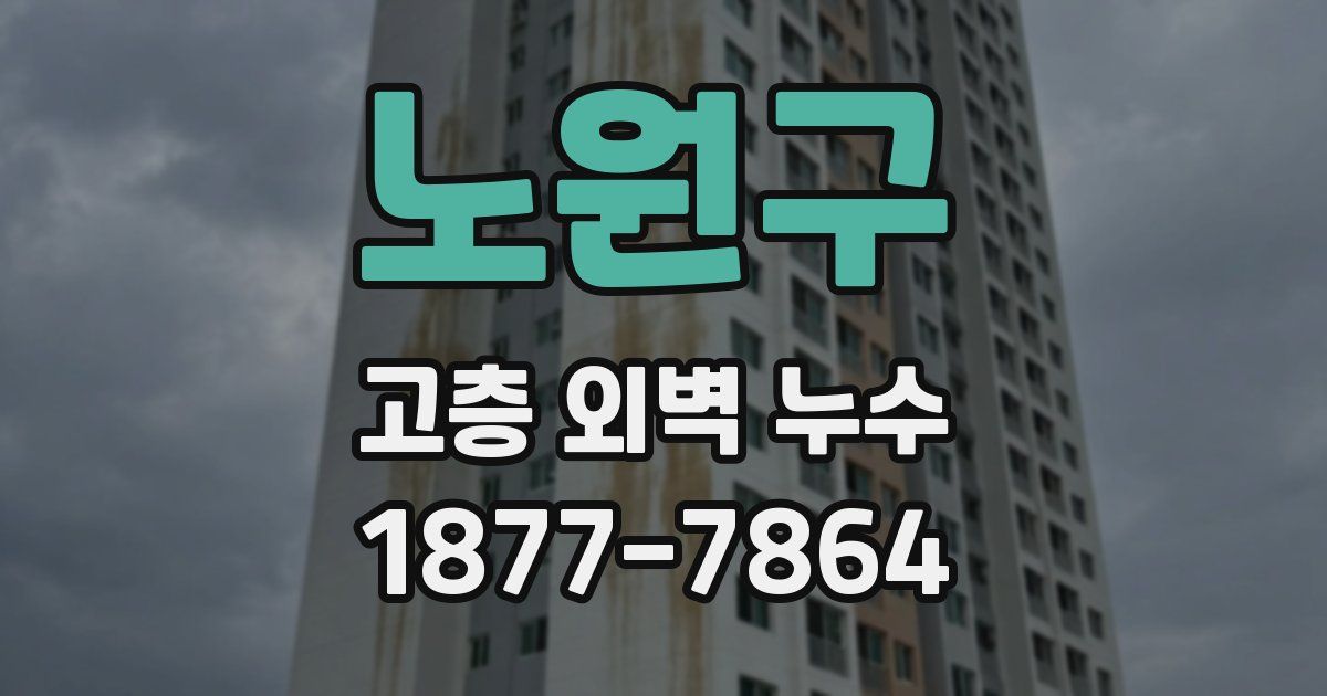 노원구 고층 외벽 누수