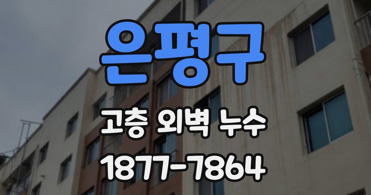 은평구 고층 외벽 누수