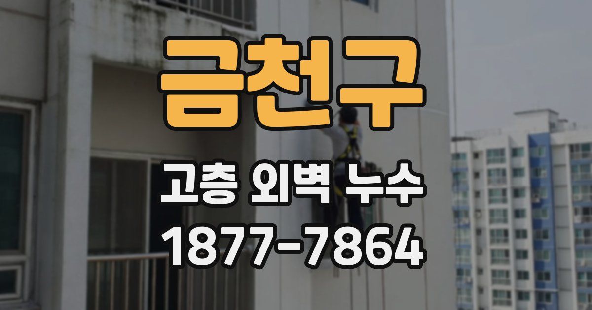 금천구 고층 외벽 누수