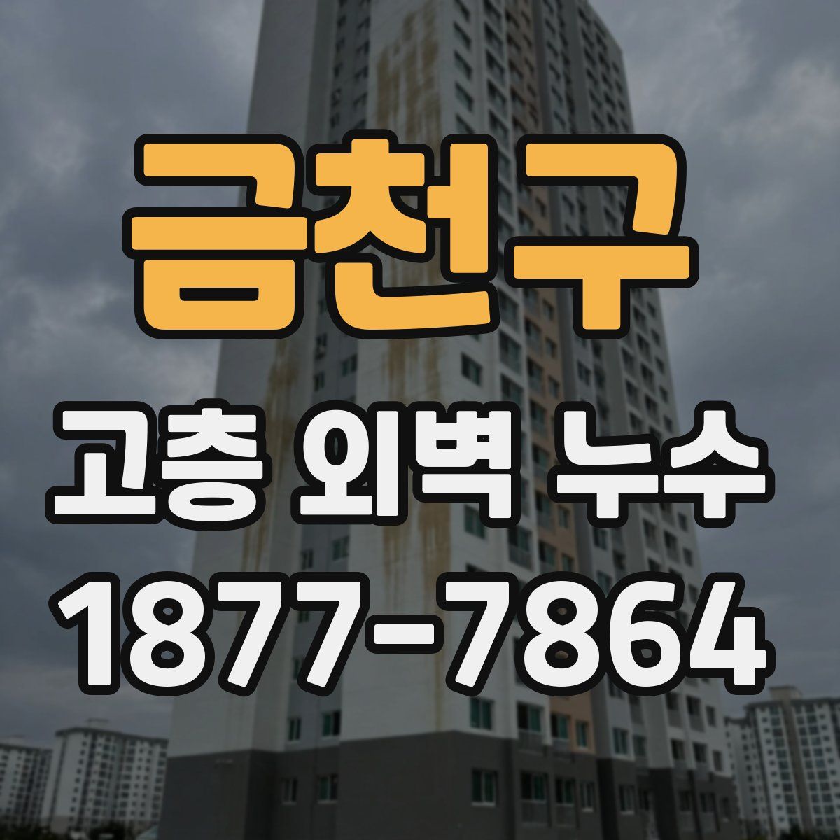 금천구 고층 외벽 누수
