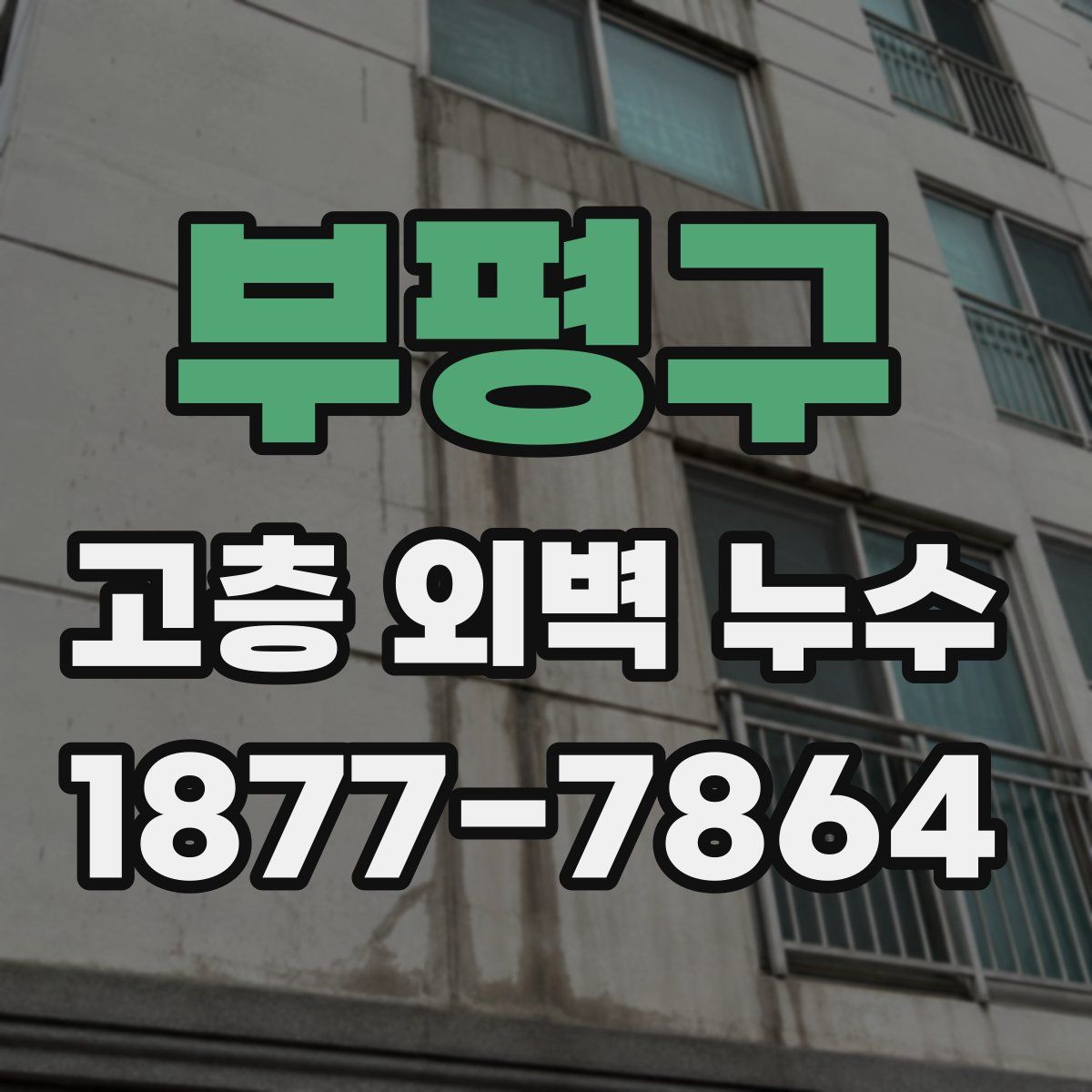 부평구 고층 외벽 누수
