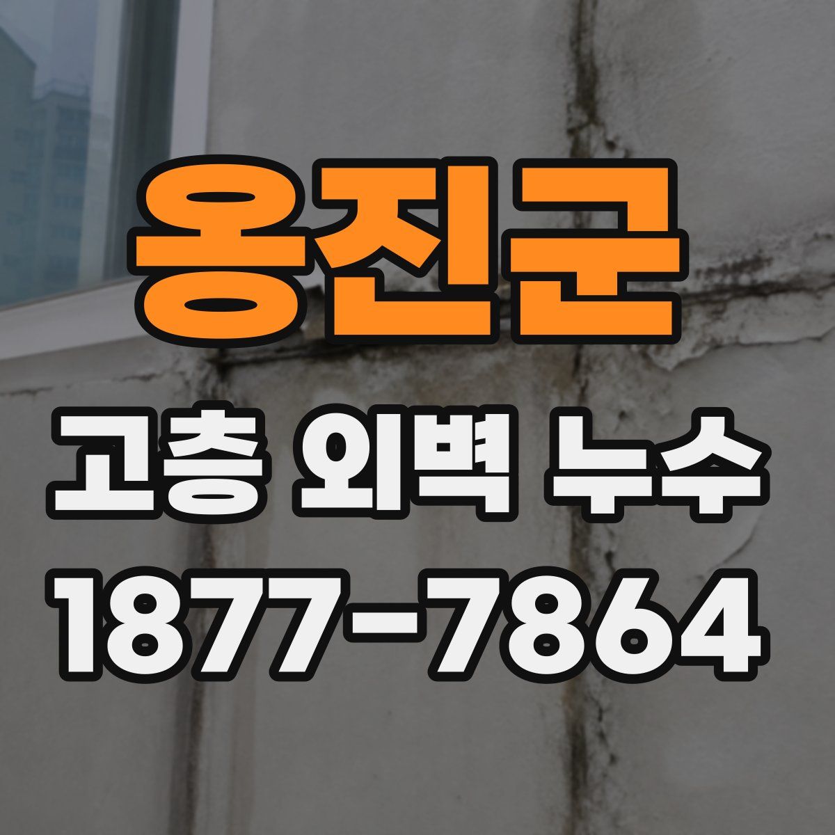 옹진군 고층 외벽 누수