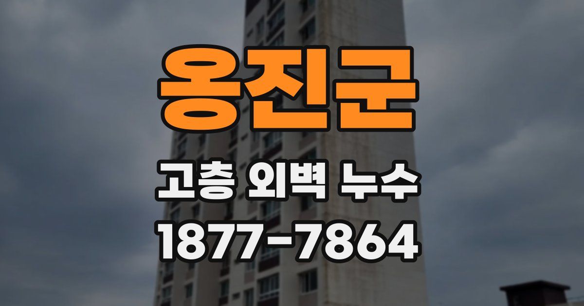 옹진군 고층 외벽 누수