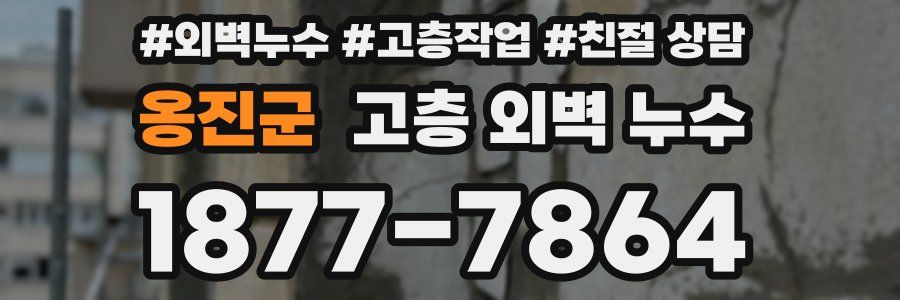 옹진군 고층 외벽 누수