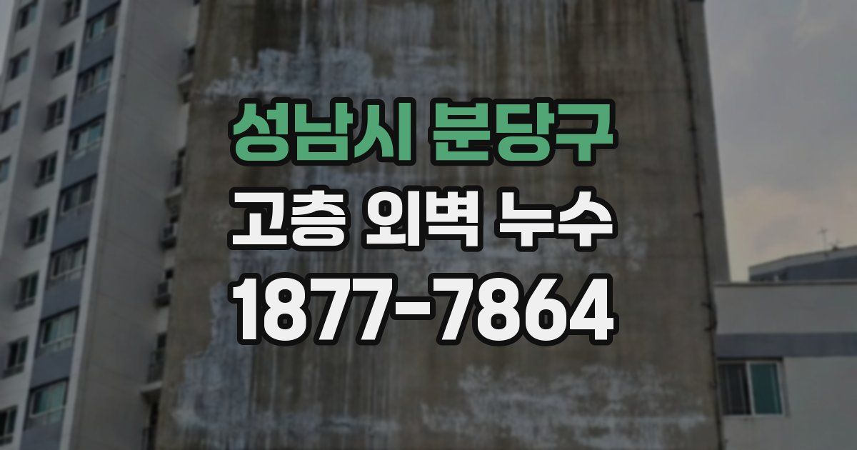 성남시 분당구 고층 외벽 누수