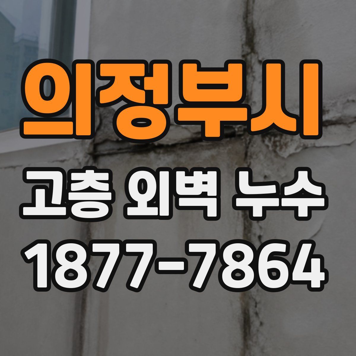 의정부시 고층 외벽 누수