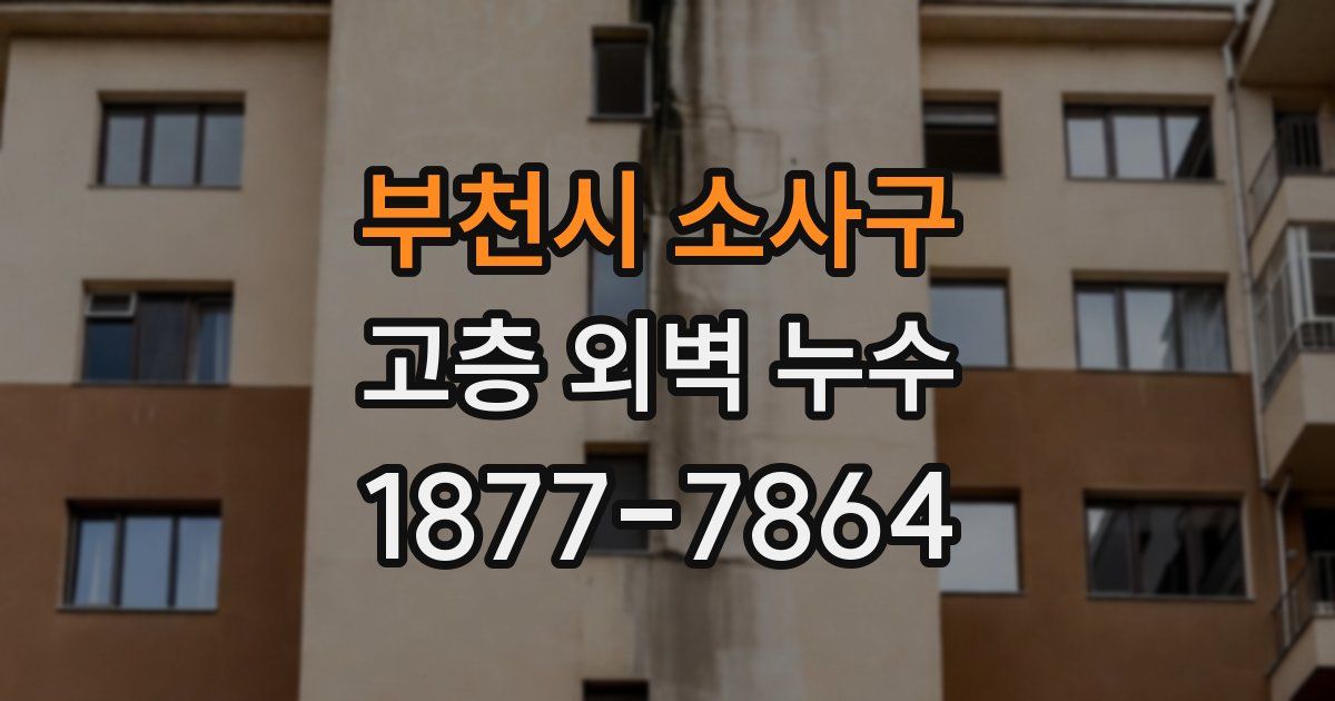 부천시 소사구 고층 외벽 누수