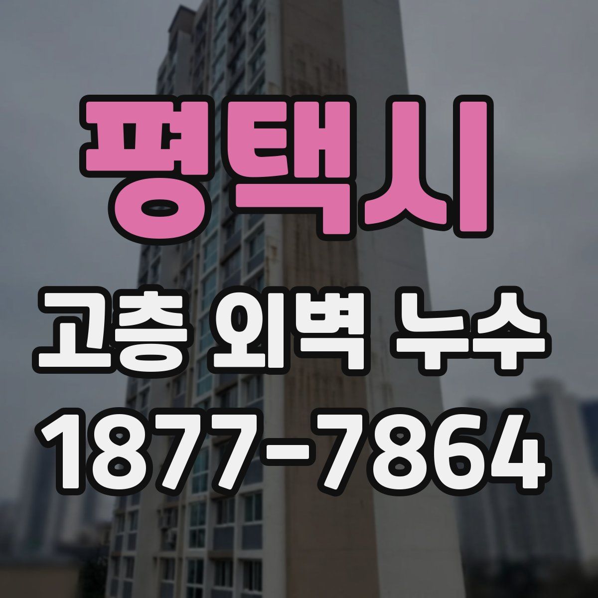 평택시 고층 외벽 누수