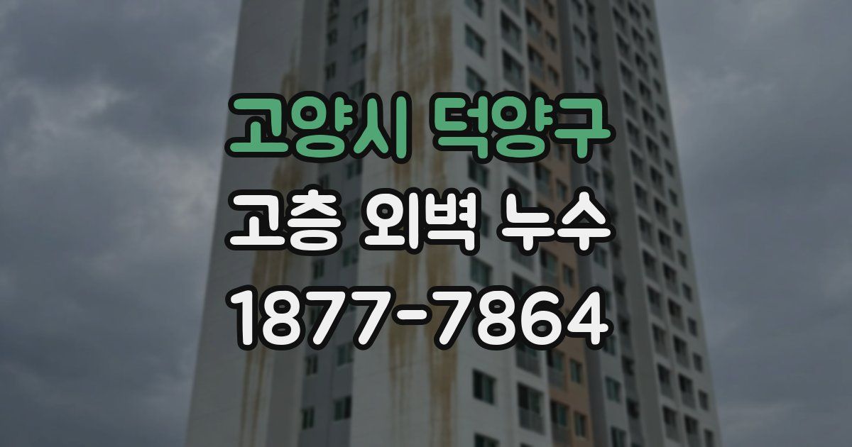 고양시 덕양구 고층 외벽 누수