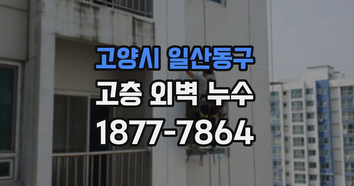 고양시 일산동구 고층 외벽 누수