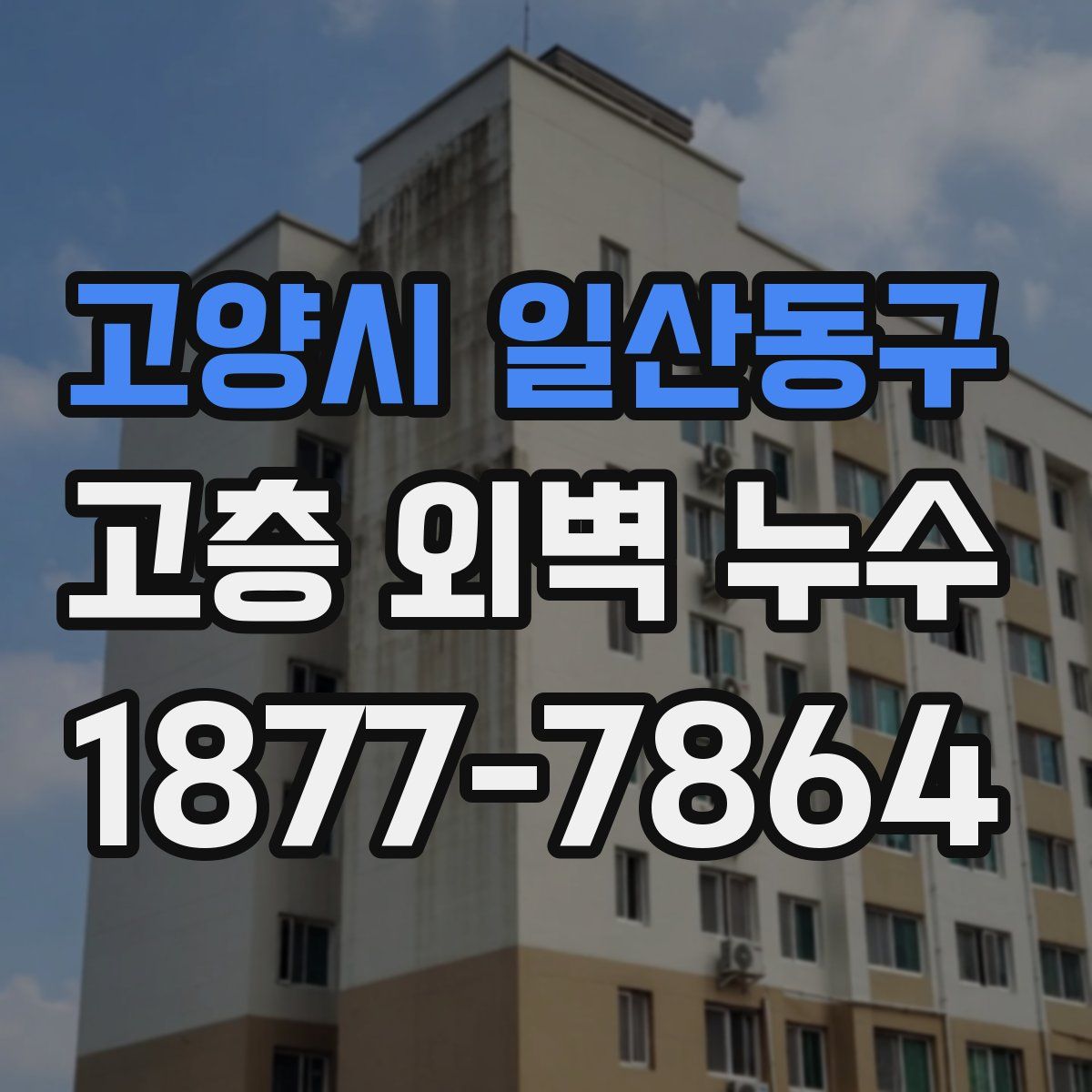 고양시 일산동구 고층 외벽 누수