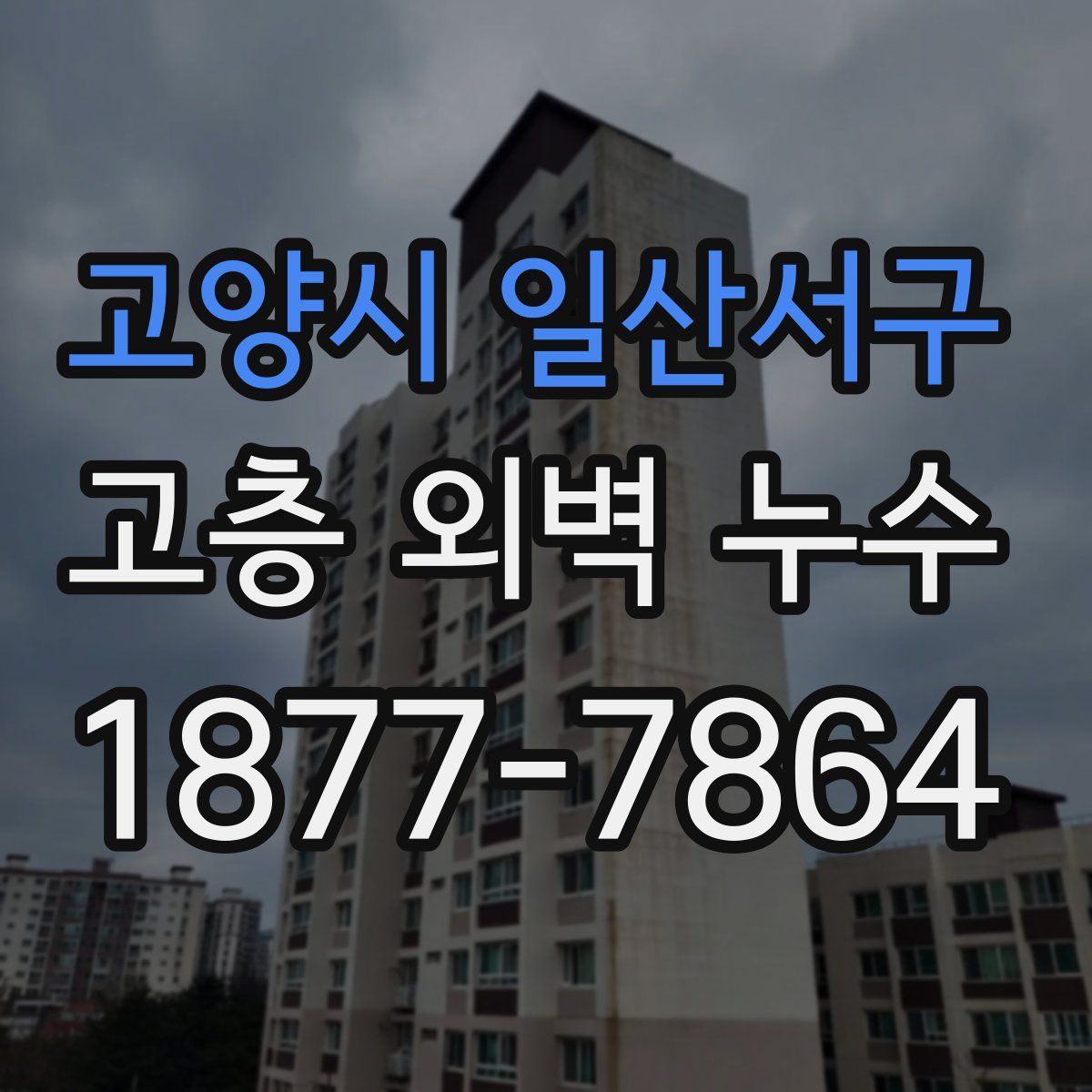 고양시 일산서구 고층 외벽 누수
