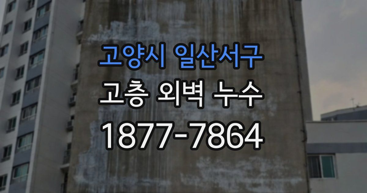 고양시 일산서구 고층 외벽 누수