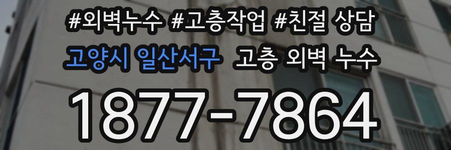 고양시 일산서구 고층 외벽 누수