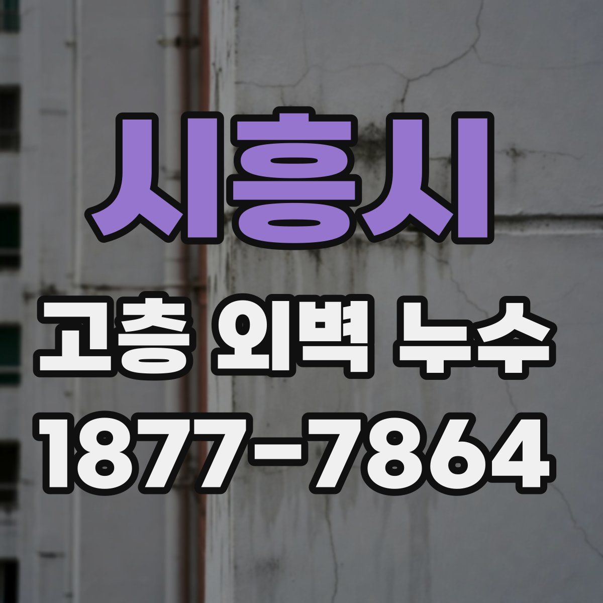시흥시 고층 외벽 누수