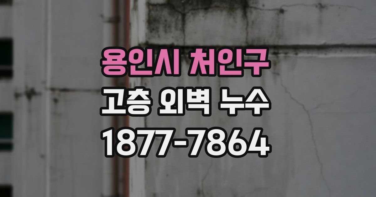 용인시 처인구 고층 외벽 누수