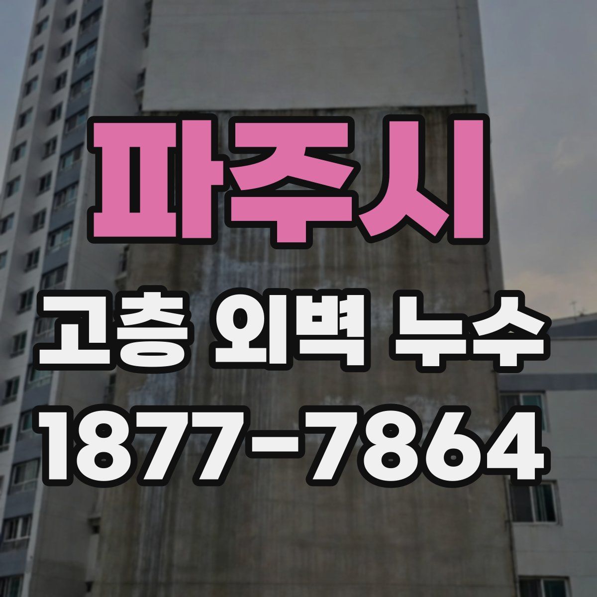 파주시 고층 외벽 누수