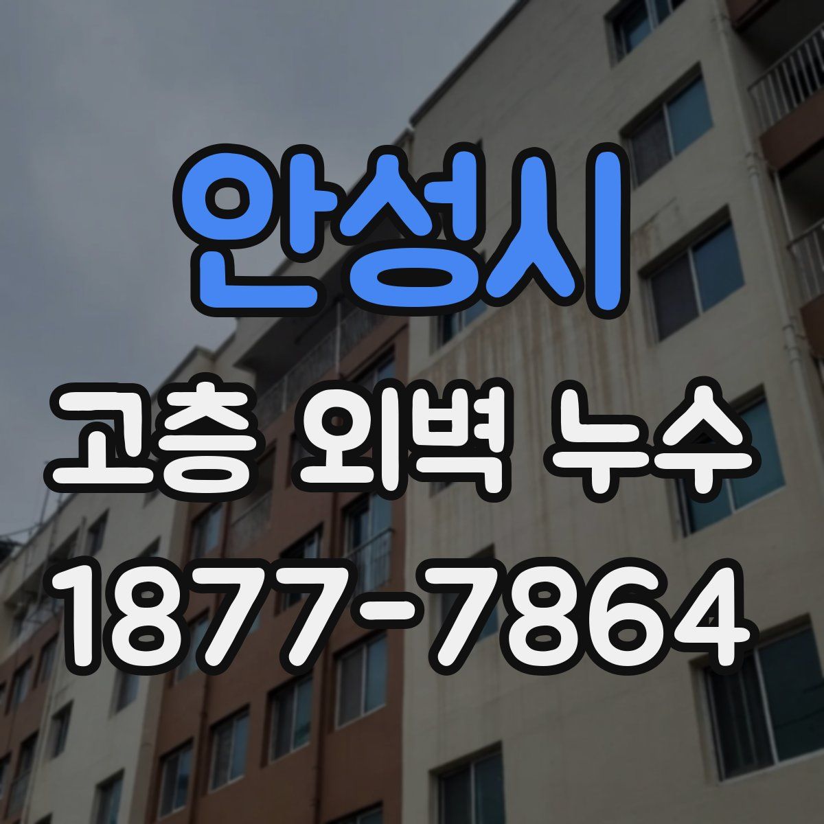 안성시 고층 외벽 누수