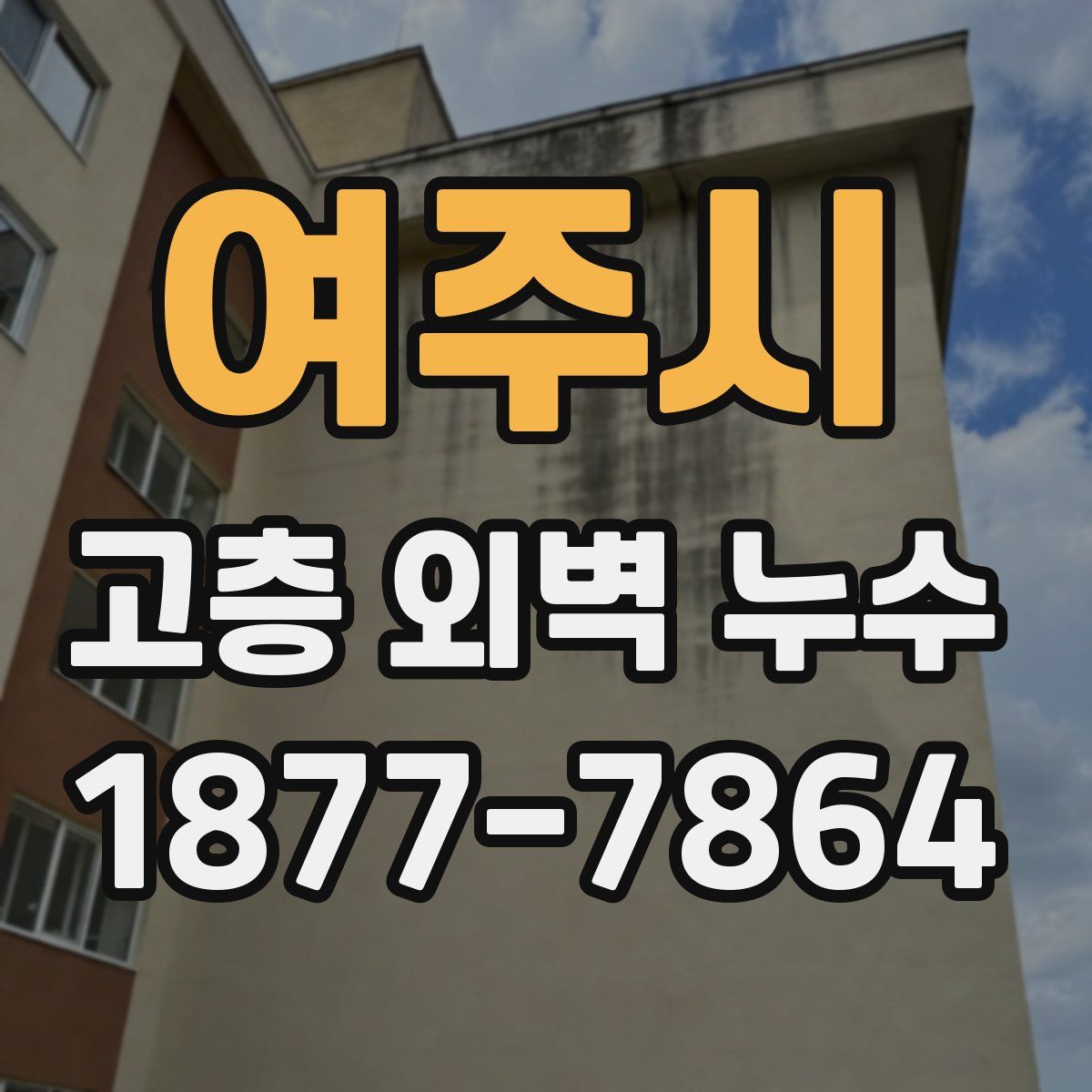 여주시 고층 외벽 누수