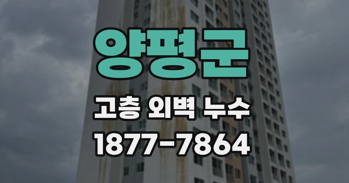양평군 고층 외벽 누수