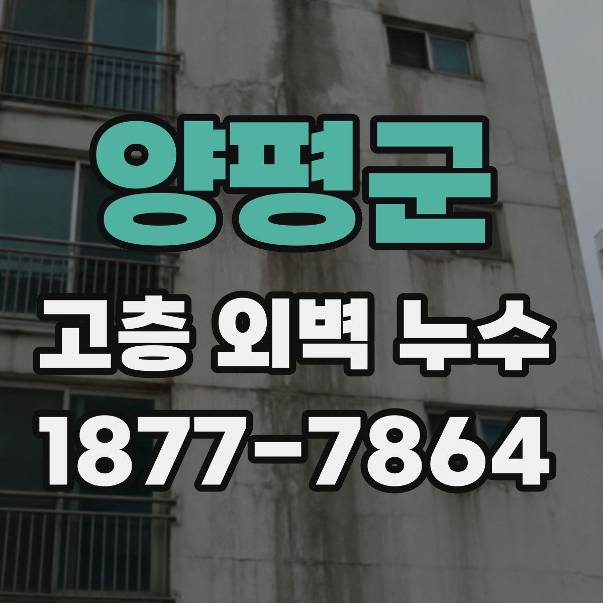 양평군 고층 외벽 누수