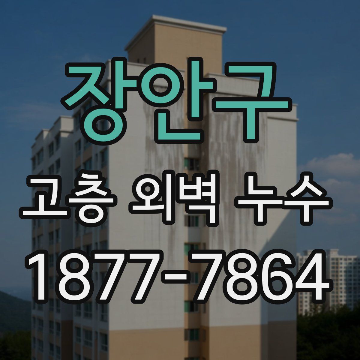 장안구 고층 외벽 누수