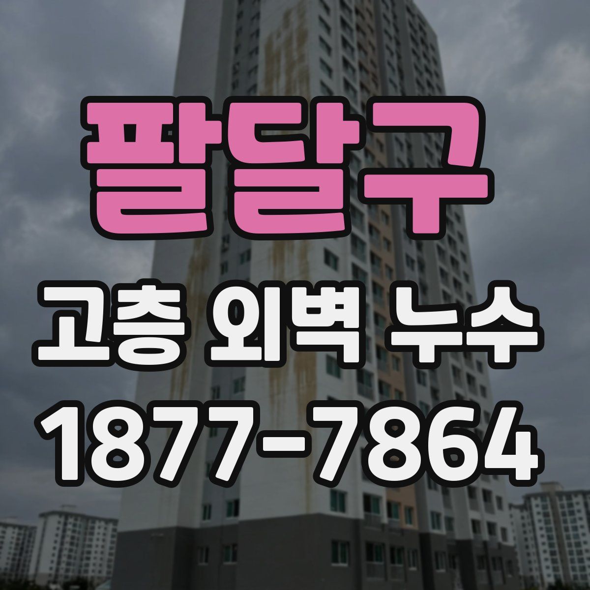 팔달구 고층 외벽 누수