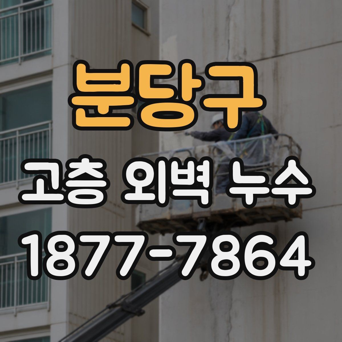 분당구 고층 외벽 누수 보수 시기 놓치면 생기는 문제