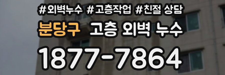 분당구 고층 외벽 누수