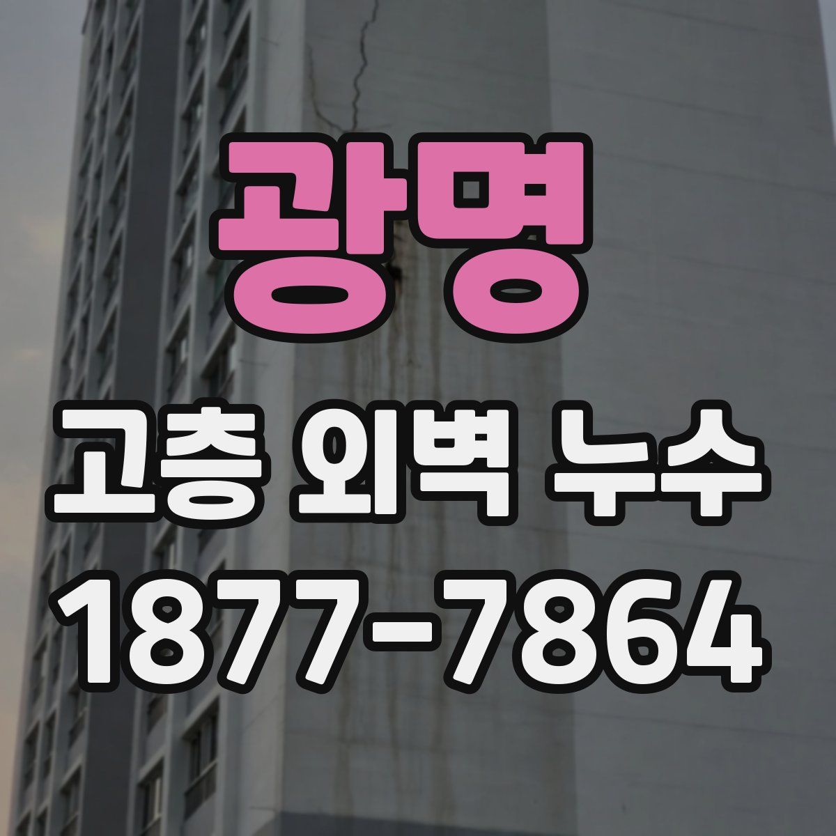 광명 고층 외벽 누수