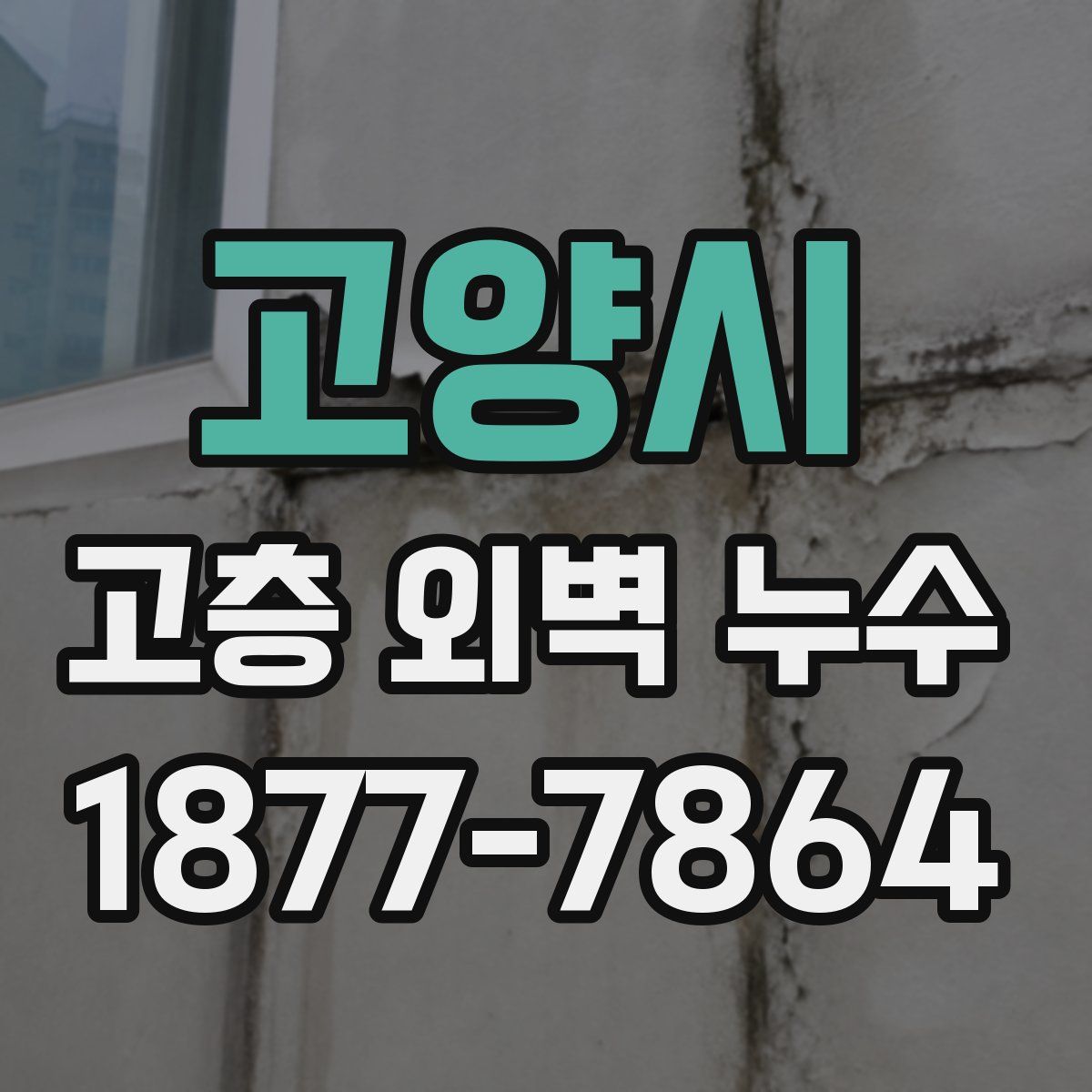 고양시 고층 외벽 누수