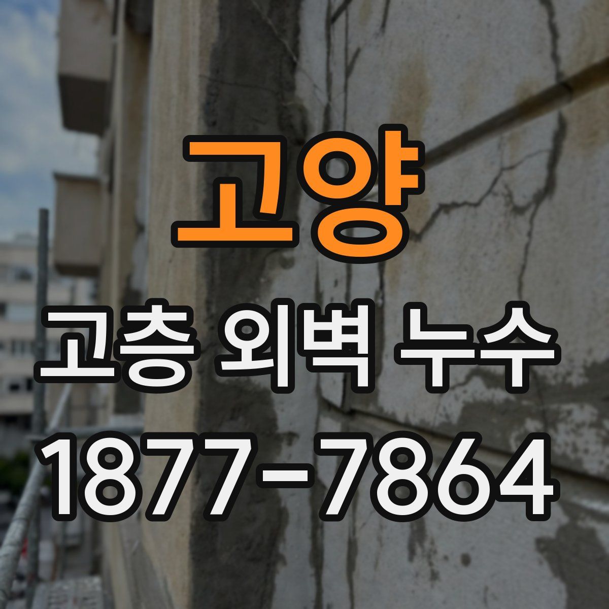 고양 고층 외벽 누수