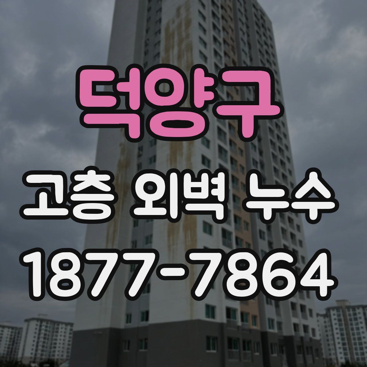 덕양구 고층 외벽 누수