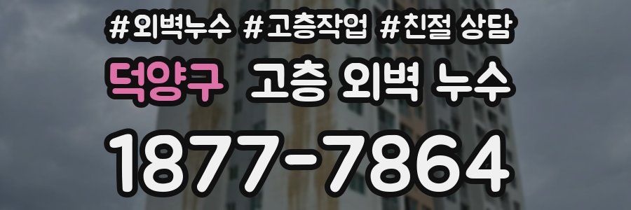 덕양구 고층 외벽 누수
